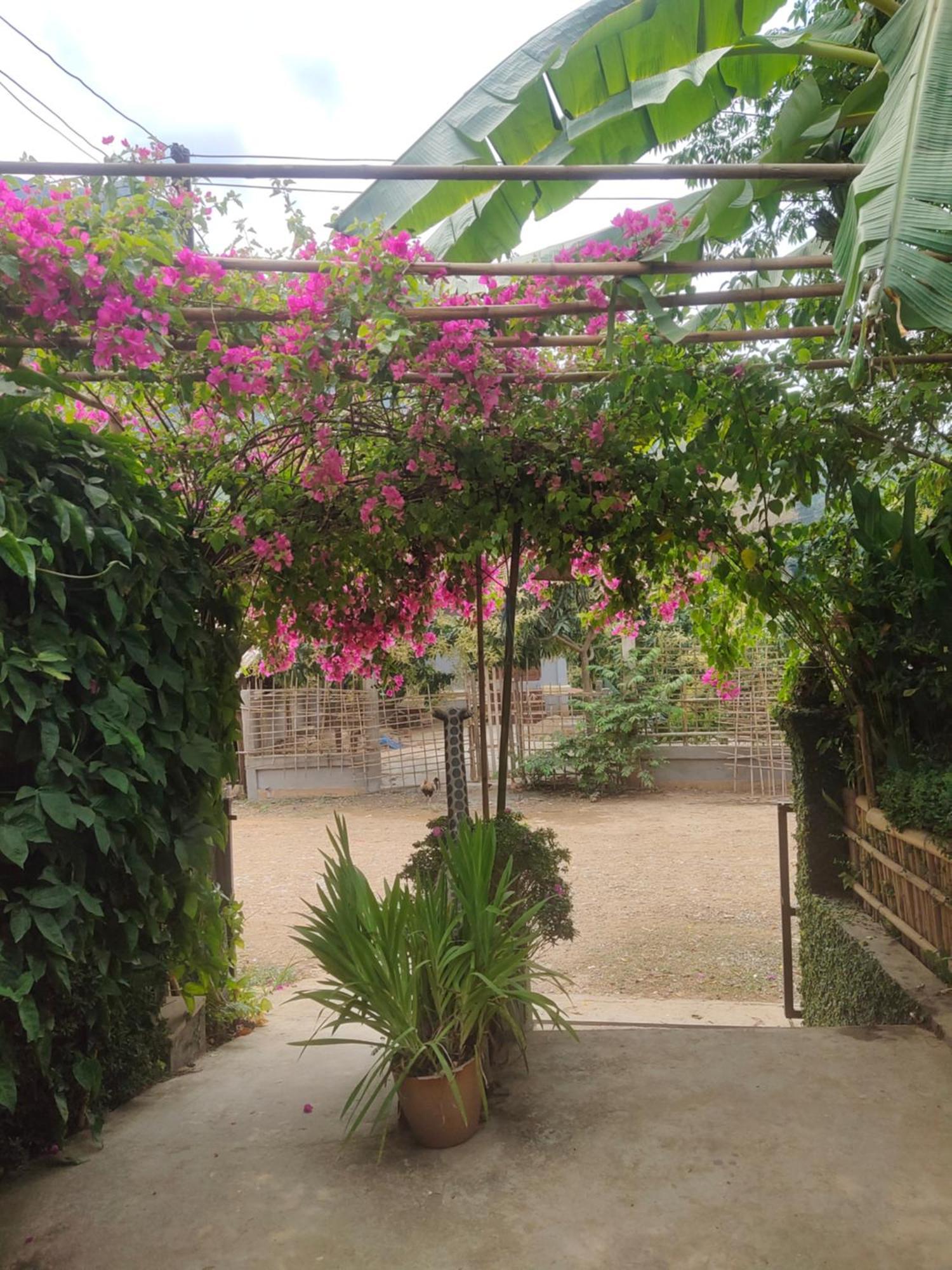Meexok Guesthouse Nong Khiaw Exterior photo